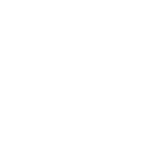Copy Porn Behaviour Icon