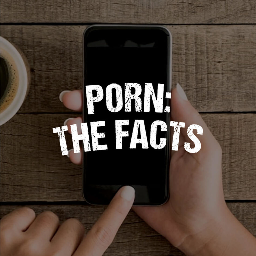Porn: The facts icon